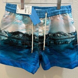 Oceanic Blue Mountain Print Swim Trunks